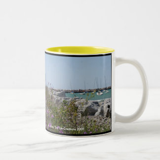 Petoskey Michigan Zweifarbige Tasse