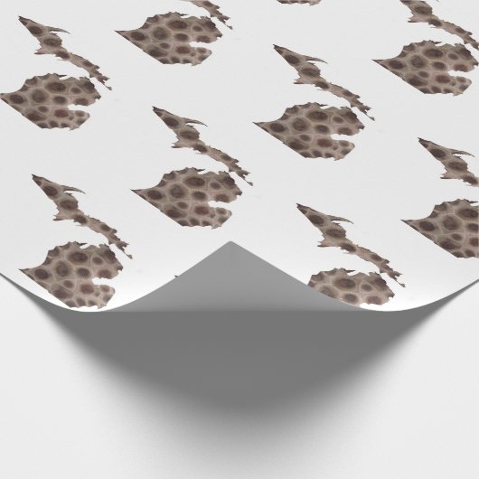 Petoskey Steine Geschenkpapier (Ecke)