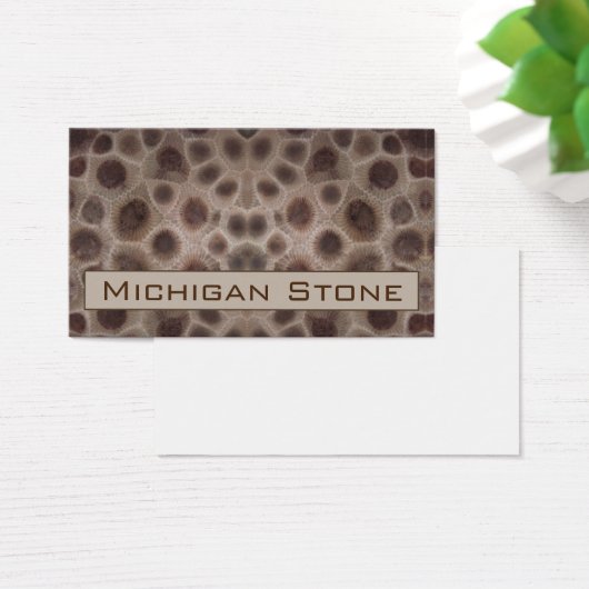 Petoskey Stone (Schreibtisch)