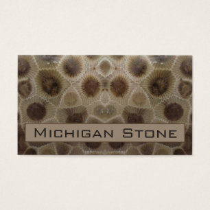 Petoskey Stone
