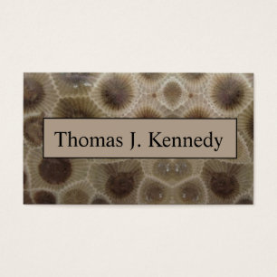 Petoskey Stone