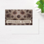 Petoskey Stone (Schreibtisch)
