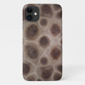 Petoskey Stone Case-Mate iPhone Hülle (Rückseite)