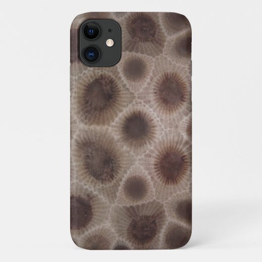 Petoskey Stone Case-Mate iPhone Hülle (Rückseite)