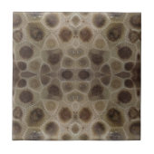 Petoskey Stone Fliese (Vorderseite)