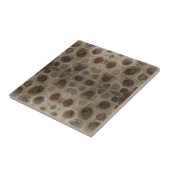 Petoskey Stone Fliese (Seite)