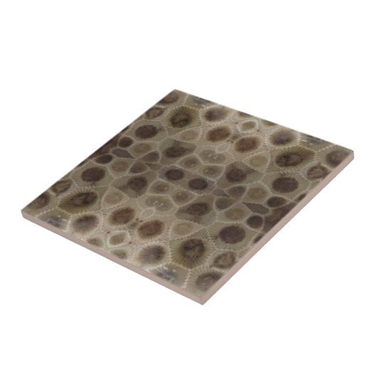 Petoskey Stone Fliese (Seite)