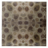 Petoskey Stone Fliese (Vorderseite)