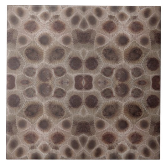 Petoskey Stone Fliese (Vorderseite)