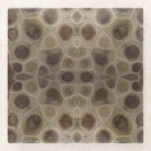 Petoskey Stone Glasuntersetzer (Vorderseite)