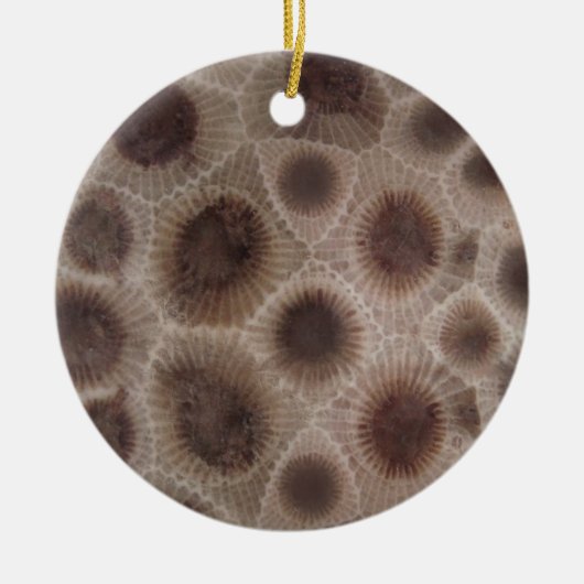 Petoskey Stone Keramik Ornament (Vorne)