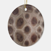 Petoskey Stone Keramik Ornament (Links)