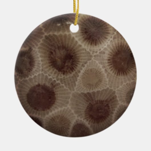 Petoskey Stone Keramik Ornament (Vorne)
