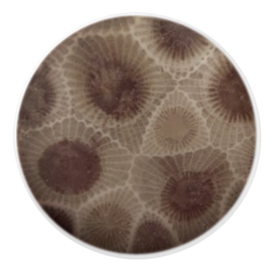 Petoskey Stone Keramikknauf (Vorderseite)