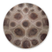 Petoskey Stone Keramikknauf (Vorderseite)