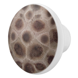 Petoskey Stone Keramikknauf