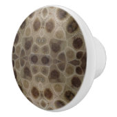 Petoskey Stone Keramikknauf (Rechts)