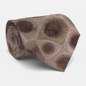 Petoskey Stone Krawatte (Gerollt)