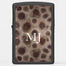 Petoskey Stone Michigan Great Lake Staaten