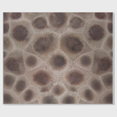 Petoskey Stone michigan Staat steinfossil Geschenkpapier (Flach)