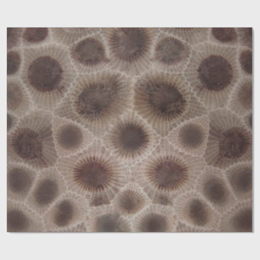 Petoskey Stone michigan Staat steinfossil Geschenkpapier (Flach)