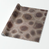 Petoskey Stone michigan Staat steinfossil Geschenkpapier (Ungerollt)