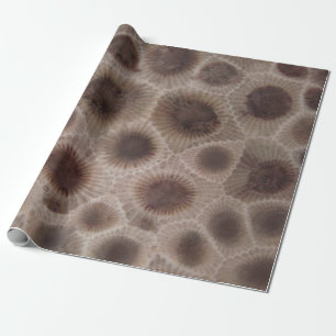 Petoskey Stone michigan Staat steinfossil Geschenkpapier