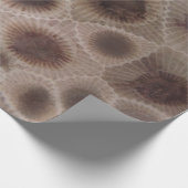 Petoskey Stone michigan Staat steinfossil Geschenkpapier (Ecke)