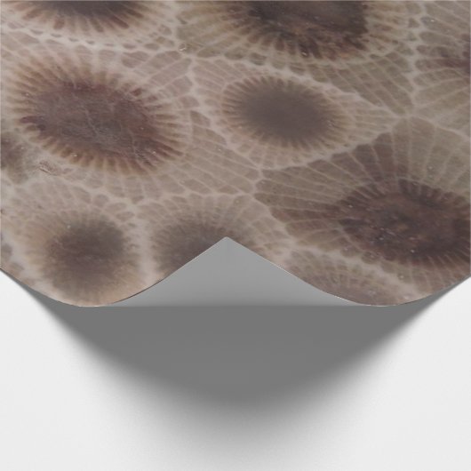 Petoskey Stone michigan Staat steinfossil Geschenkpapier (Ecke)