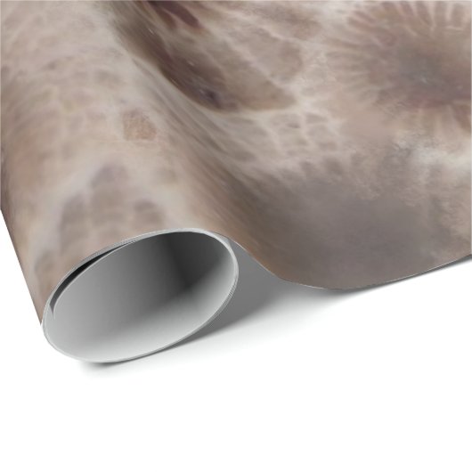 Petoskey Stone michigan Staat steinfossil Geschenkpapier (Rolleneckpunkt)