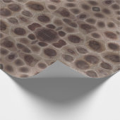 Petoskey Stone michigan Staat steinfossil Geschenkpapier (Ecke)