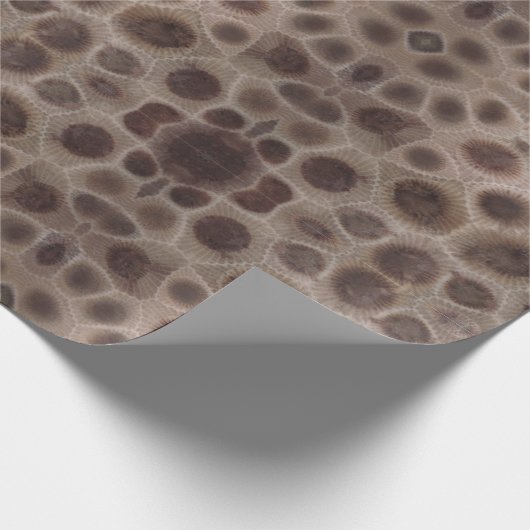 Petoskey Stone michigan Staat steinfossil Geschenkpapier (Ecke)