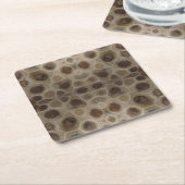 Petoskey Stone michigan Staat steinfossil Rechteckiger Pappuntersetzer (angewinkelt)