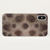 Petoskey Stone michigan Staat stone Case-Mate iPhone Hülle (Rückseite (Horizontal))