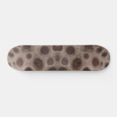 Petoskey Stone, Michigan Staat Stone Skateboard (Horizontal)
