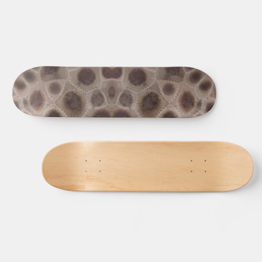 Petoskey Stone, Michigan Staat Stone Skateboard (Horizontal)