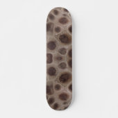 Petoskey Stone, Michigan Staat Stone Skateboard (Vorne)
