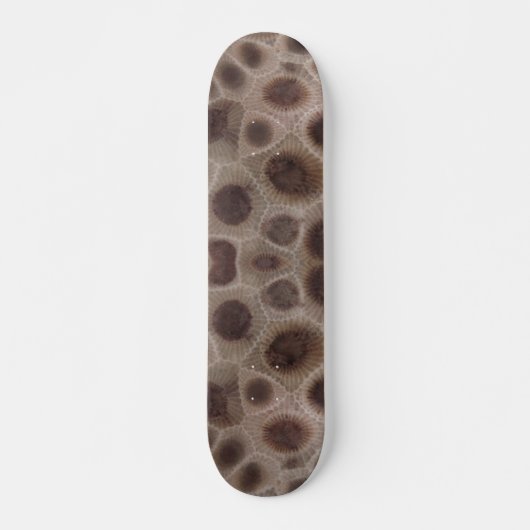 Petoskey Stone, Michigan Staat Stone Skateboard (Vorne)