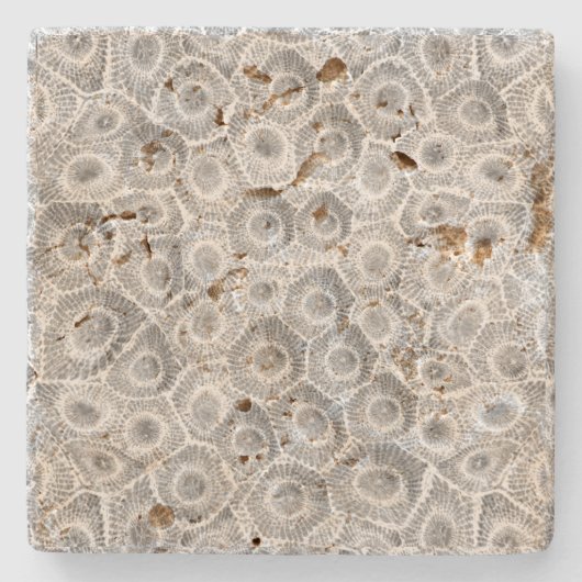Petoskey Stone Pattern Steinuntersetzer (Vorderseite)