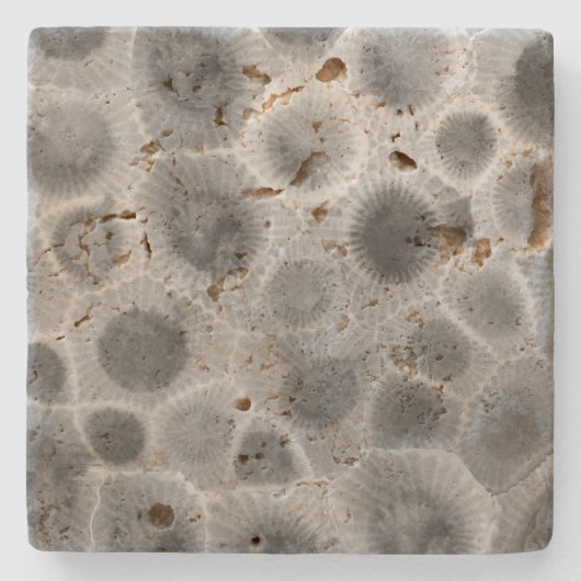 Petoskey Stone Pattern Steinuntersetzer (Vorderseite)