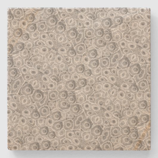 Petoskey Stone Pattern Steinuntersetzer (Vorderseite)