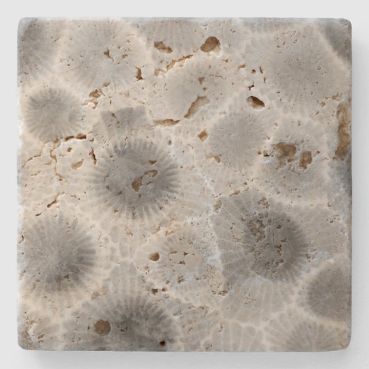 Petoskey Stone Pattern Steinuntersetzer (Vorderseite)