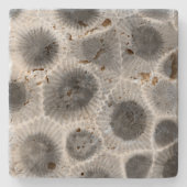Petoskey Stone Pattern Steinuntersetzer (Vorderseite)