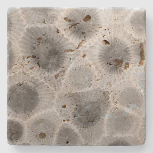 Petoskey Stone Pattern Steinuntersetzer (Vorderseite)