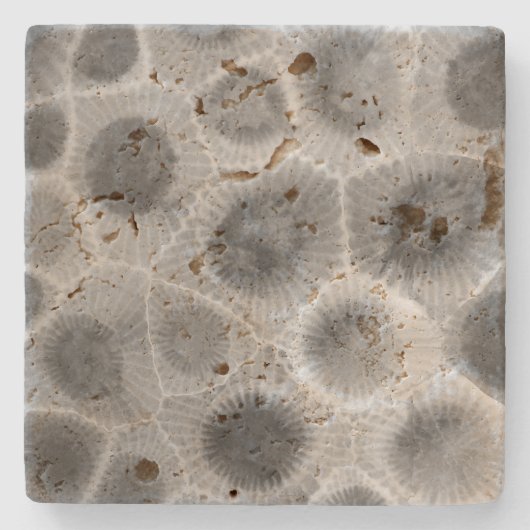 Petoskey Stone Pattern Steinuntersetzer (Vorderseite)