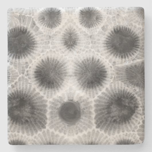 Petoskey Stone Pattern Steinuntersetzer (Vorderseite)