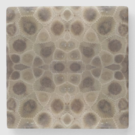 Petoskey Stone Steinuntersetzer (Vorderseite)