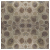 Petoskey Stone Stoff (Nahaufnahme)