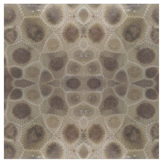 Petoskey Stone Stoff (Nahaufnahme)