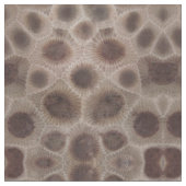 Petoskey Stone Stoff (Nahaufnahme)